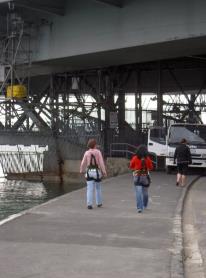 Bungy Jump Auckland Harbour Bridge